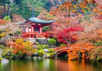 Japan Beyond Tokyo: Hidden Gems That Most Tourists Miss 