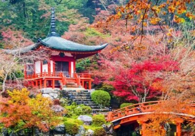 Japan Beyond Tokyo: Hidden Gems That Most Tourists Miss 