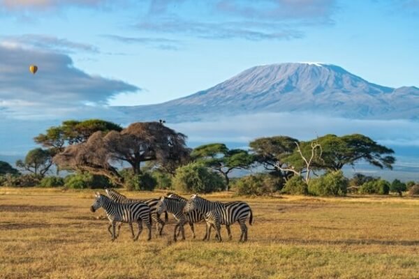 Amboseli – Kilimanjaro View