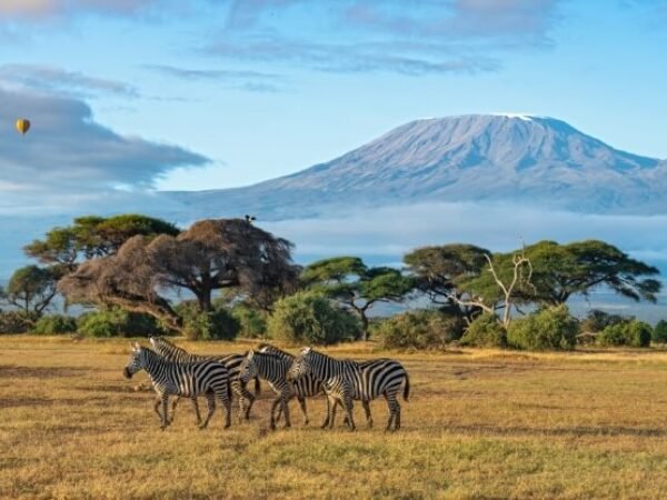 Amboseli – Kilimanjaro View