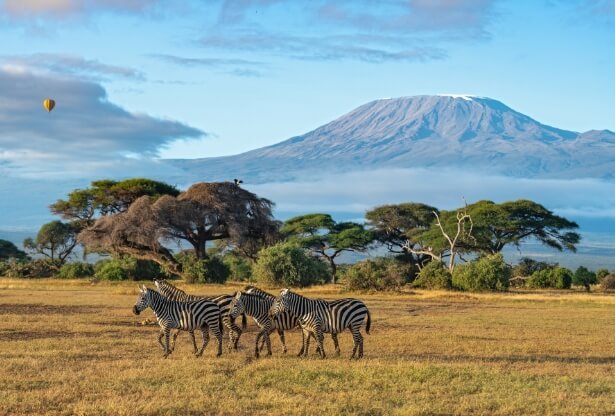 Amboseli – Kilimanjaro View