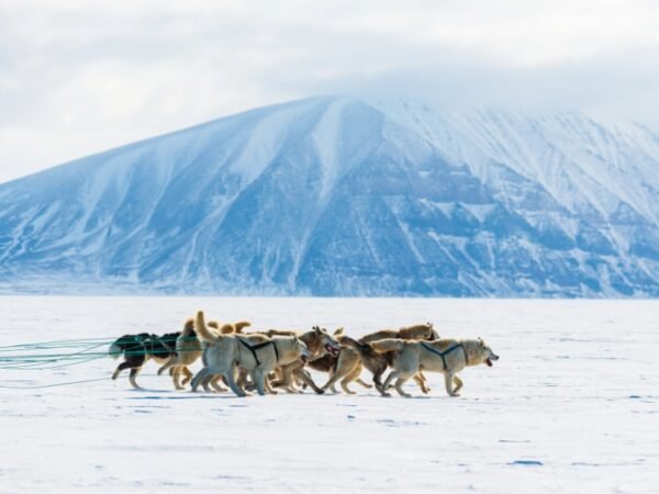 Kangerlussuaq – Dog Sledding