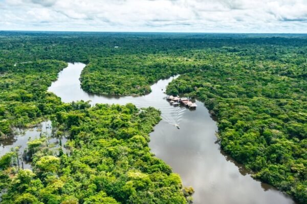 Amazon Rainforest – Iquitos