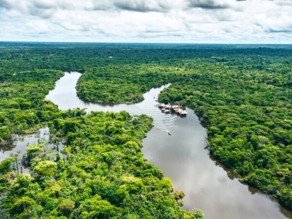 Amazon Rainforest – Iquitos