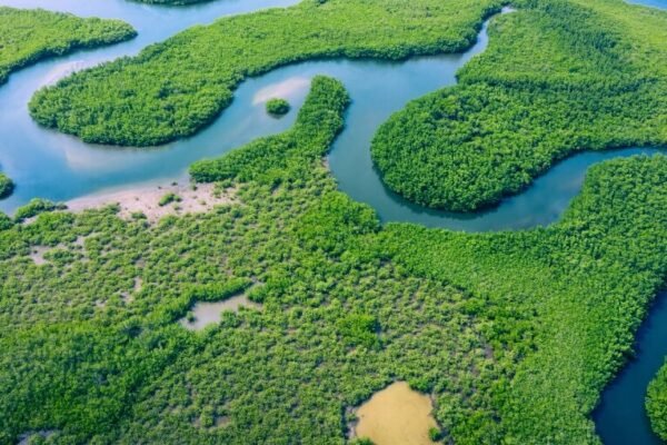 Amazon River – Manaus