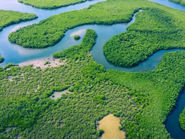 Amazon River – Manaus