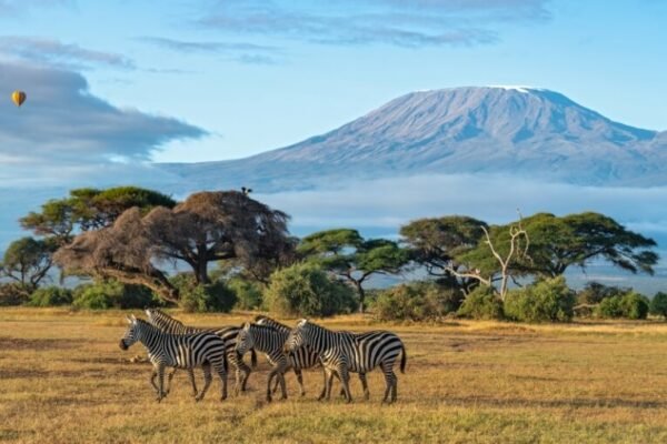 Amboseli – Kilimanjaro View