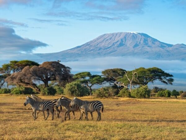 Amboseli – Kilimanjaro View