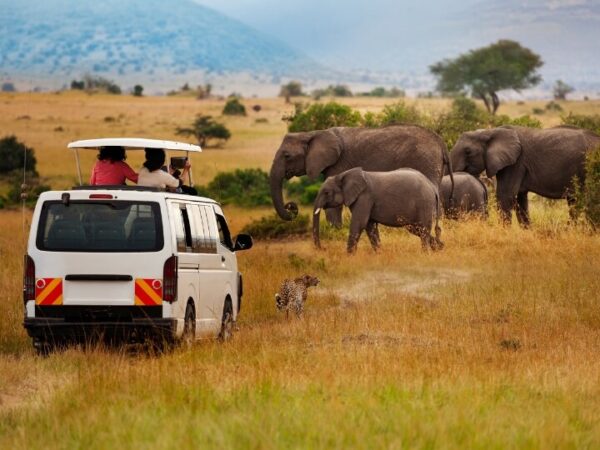 Maasai Mara National Reserve