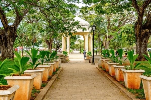 Stone Town – Forodhani Gardens