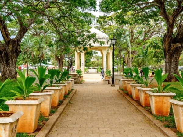 Stone Town – Forodhani Gardens