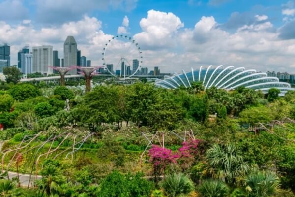 Gardens by the Bay
