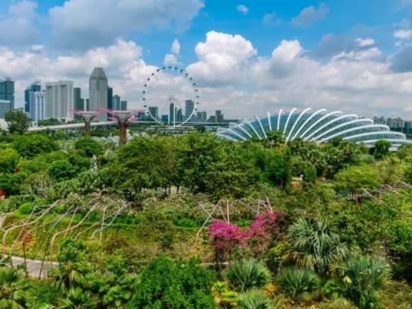 Gardens by the Bay