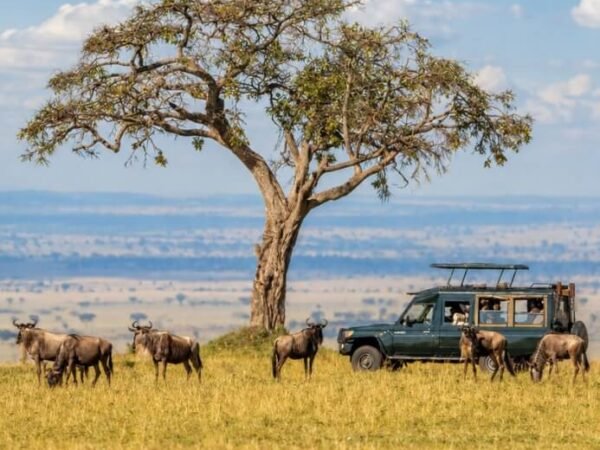 Maasai Mara National Reserve