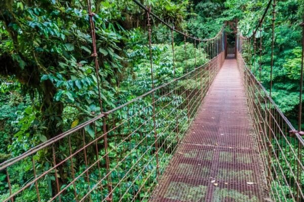 Monteverde Cloud Forest