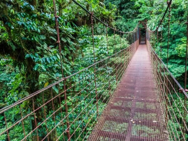 Monteverde Cloud Forest