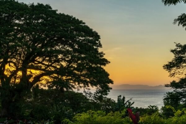 Taveuni – Garden Island