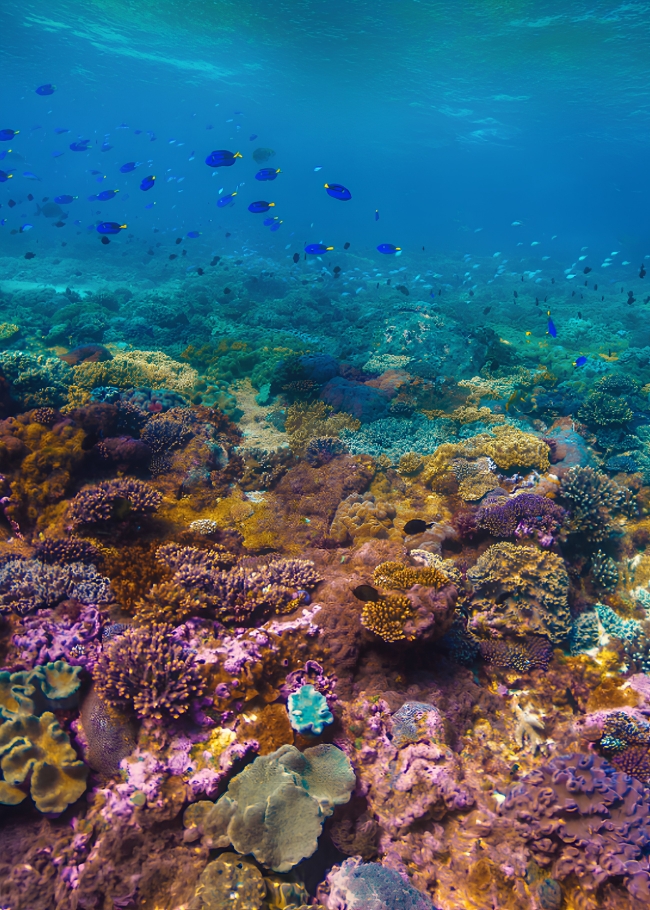 Great Barrier Reef