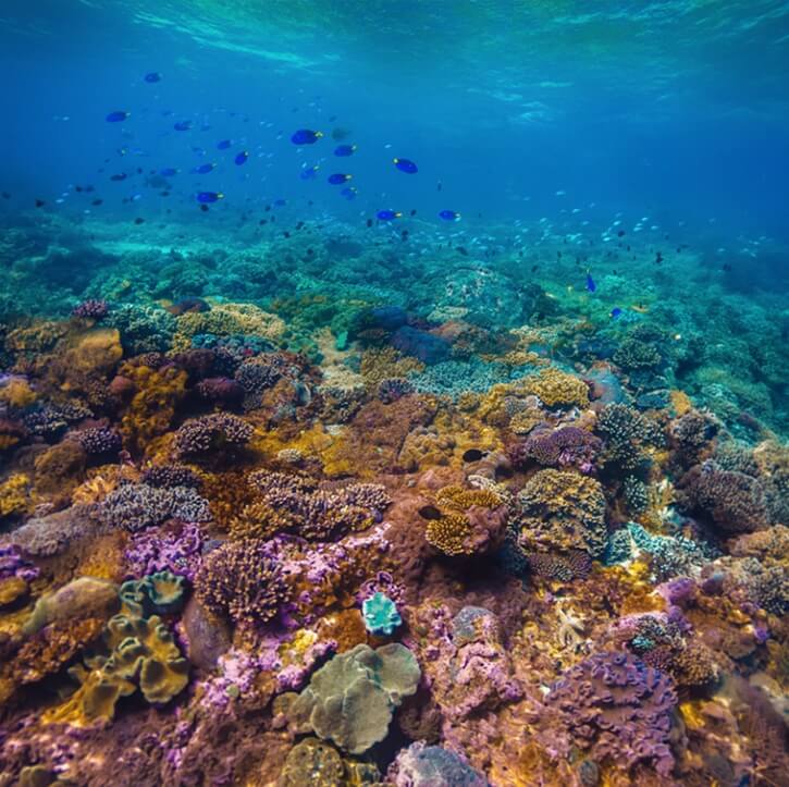 Great Barrier Reef