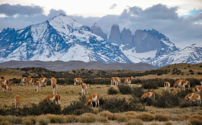 chile travel questions