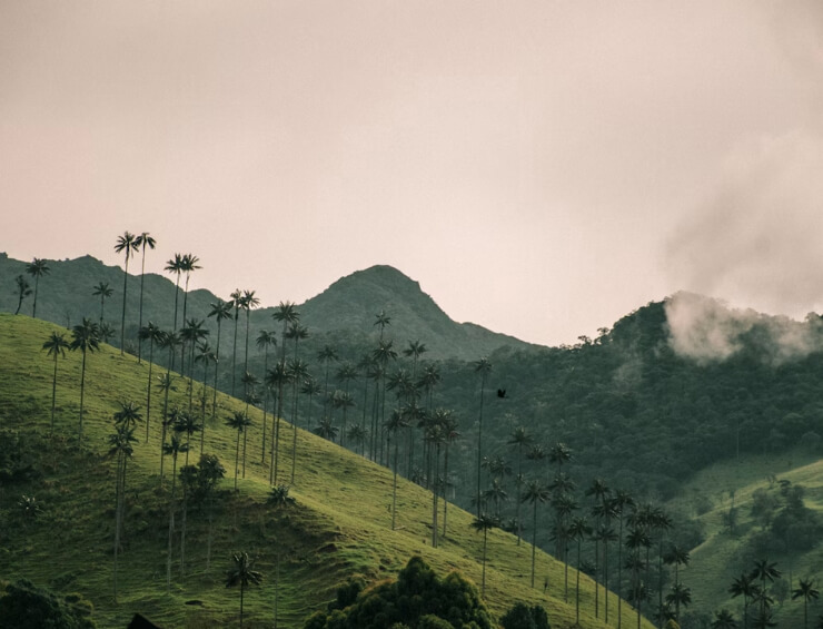colombia travel stats