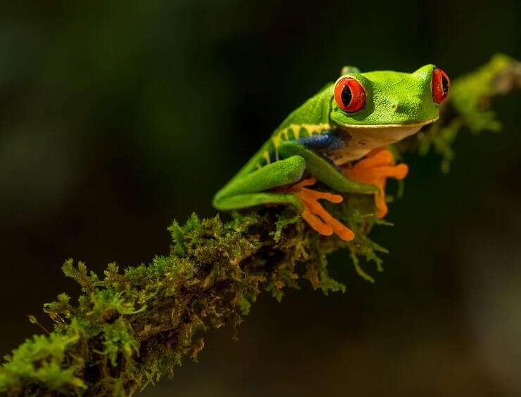costa rica travel stats