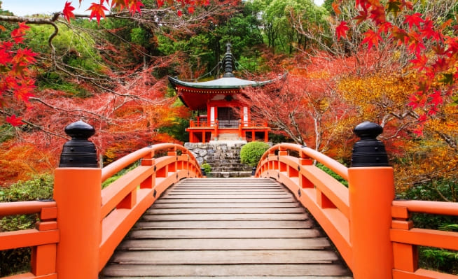 japan travel questions