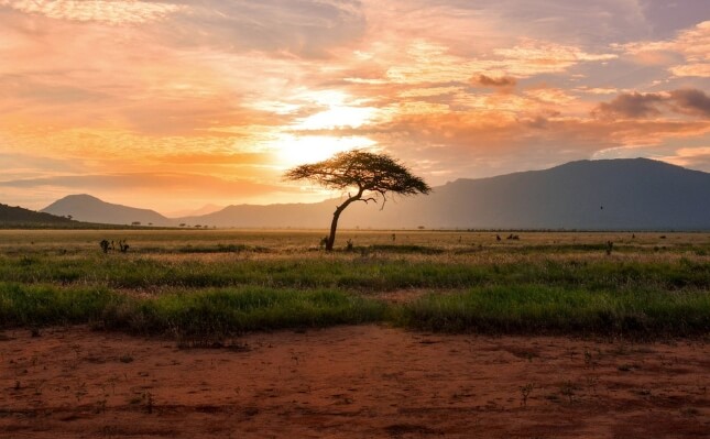 kenya travel questions