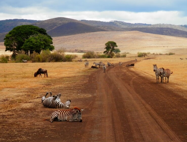 tanzania travel stats