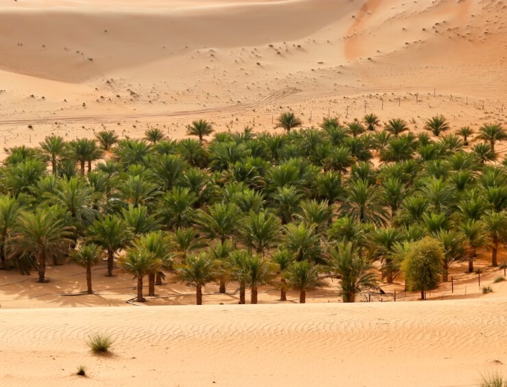 uae travel stats